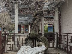 -郑和公园