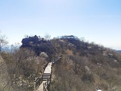 -大岭沟猕猴桃谷风景区