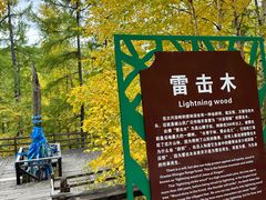 -莫尔道嘎国家森林公园