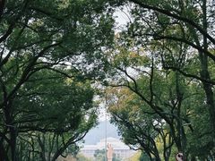 -浙江大学(玉泉校区)