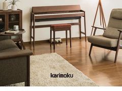 -柏斯琴行(汾阳店)