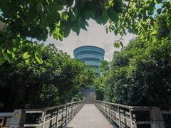 -南山植物园