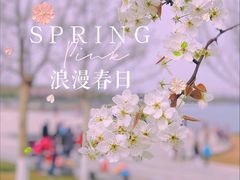 -水西公园