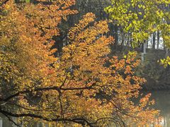 -艾溪湖湿地公园