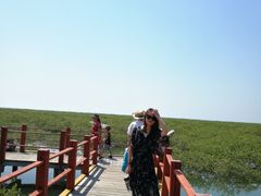 -北海金海湾红树林生态旅游区