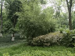-青龙山国家森林公园