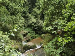 -赤水丹霞旅游区·佛光岩