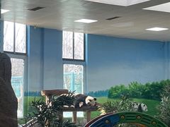 -临沂动植物园