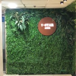 -V-STAR威斯达•高级私人定制
