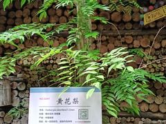 -呀路古热带植物园
