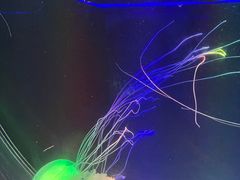 -海合安成都极地海洋公园