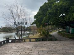 -江心屿景区