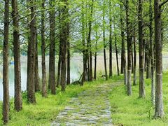 -梁鸿国家湿地公园