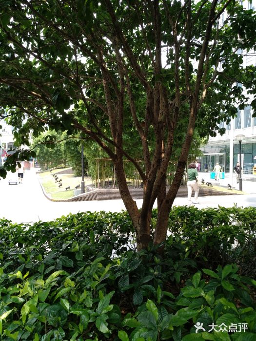 噹噹呀咪咖喱屋(南京东路店)景观位图片