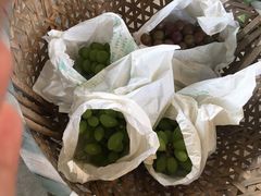 -马陆小张葡萄园农家乐