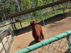 -秦皇岛野生动物园
