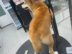 -宠物家(长阳店)