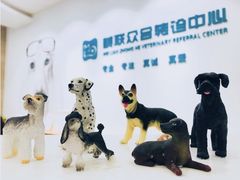 -美联众合动物医院·24h转诊中心