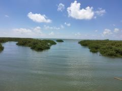 -北海金海湾红树林生态旅游区