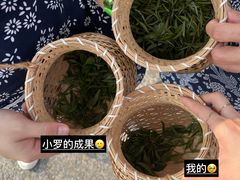 -龙坞茶村