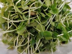 -名门小厨(劲松店)