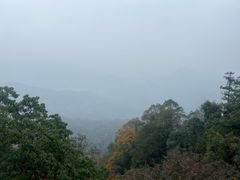 -青城山