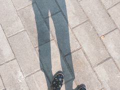 -野鸭湖国家湿地公园