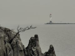 -上海吴淞炮台湾国家湿地公园