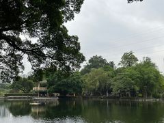 -晓港公园