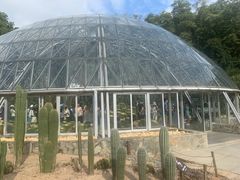 -深圳仙湖植物园