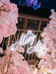 -迈瑞米求婚策划(静安店)