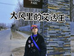 -东郊湿地公园