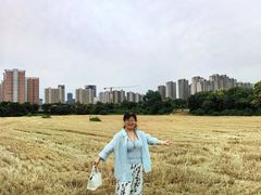 -定鼎门遗址博物馆