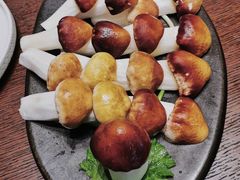 鲜松茸-红鼎豆捞·非遗鲍皇汤火锅(宝丰路店)