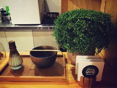 -柴务处·柴犬主题狗咖