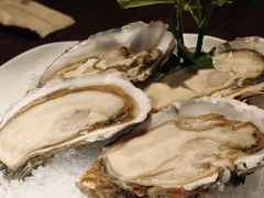 乳山生蚝-揽季锅物会.福建黄鱼.海鲜姿造(五四路店)