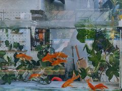 -溪岸路花鸟市场