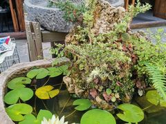 -海窝子古镇