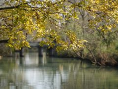 -烟水渔庄餐厅(西溪湿地店)