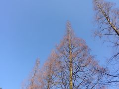 -宁海森林温泉