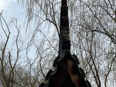 -桃花堤公园