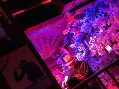 -周庄红庭演艺酒吧