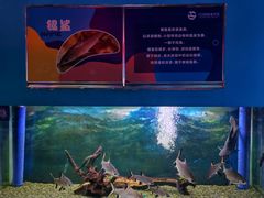 -沙沙哗啦海洋馆(华宇百花谷店)