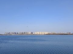 -丁香湖公园