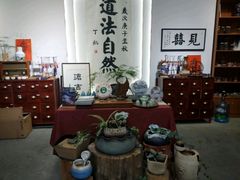 -马家大院