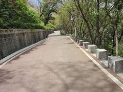-攀枝花公园