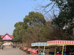 -上海海湾国家森林公园