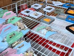 -蓝湾碧波·老字号·疍家非遗海上餐厅