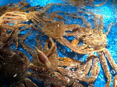 -徐记海鲜(南油永新汇店)