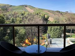 山景房-天目湖御水温泉·度假酒店